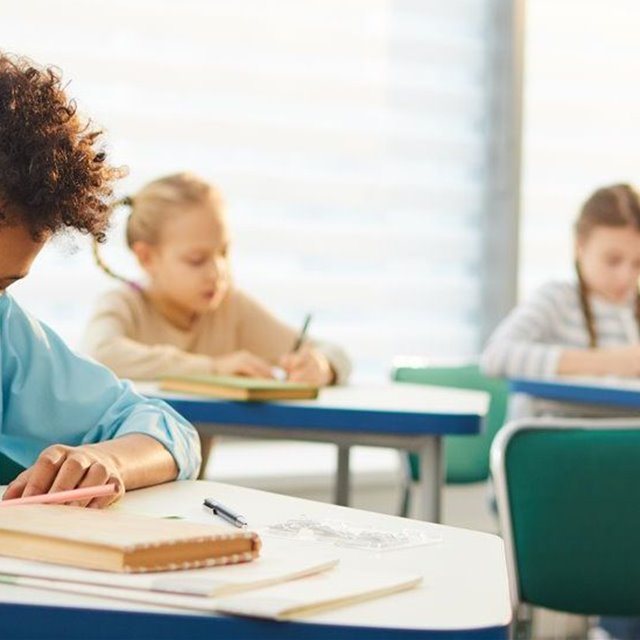 Unik ressurs om skeiv teori i norske skolebøker